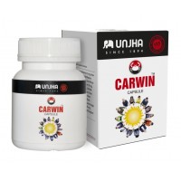 CARWIN